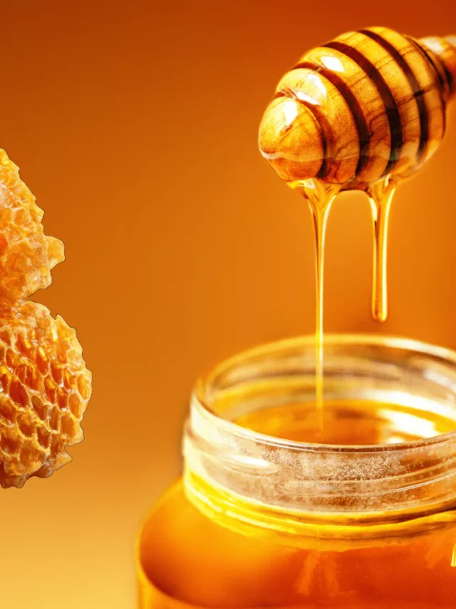 Honey Can Stay Edible for Thousands of Years
