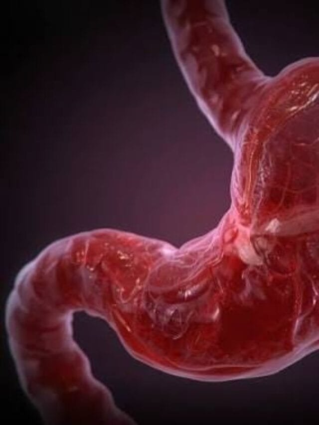 Your Stomach Gets a New Lining Every Few Days