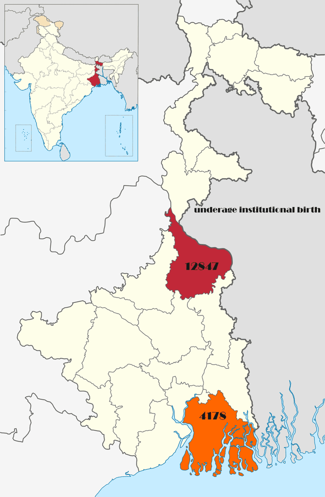 Murshidabad, South 24 Parganas Emerge as Bengal's Child Marriage Hotspots